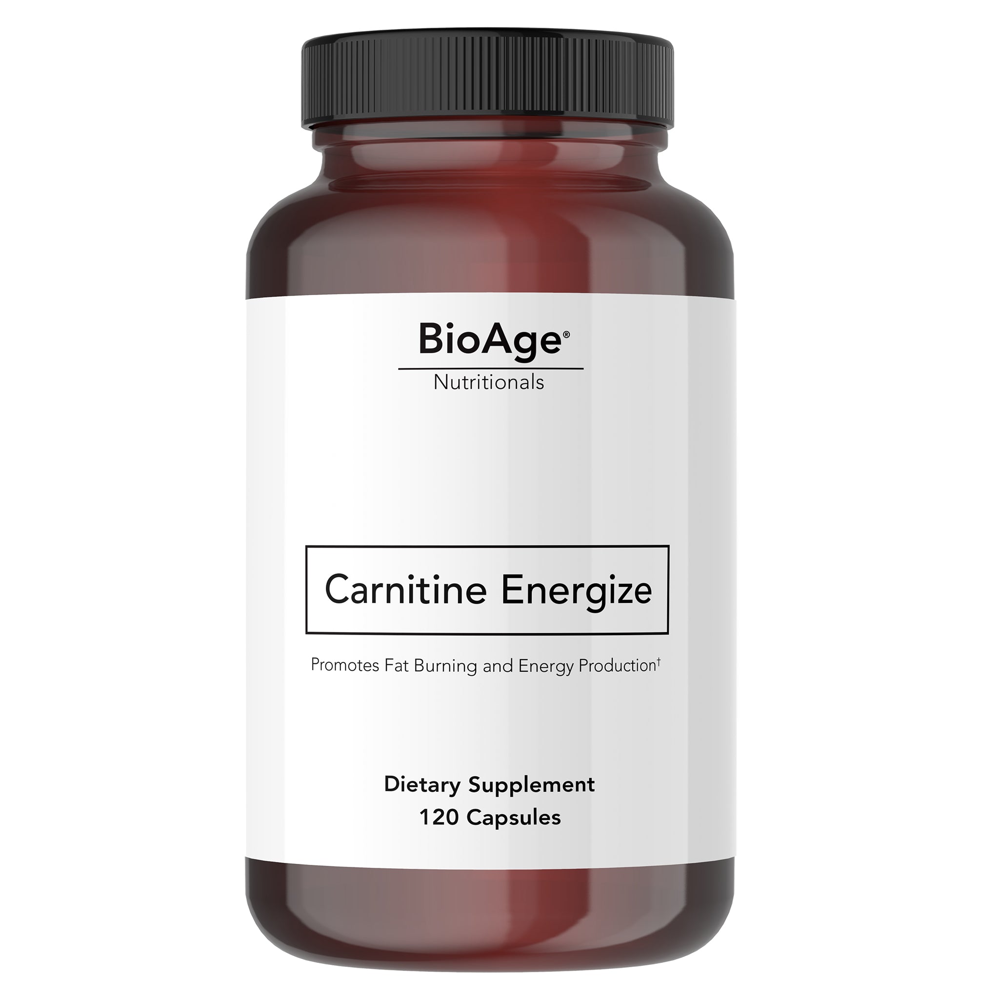 Carnitine Energize